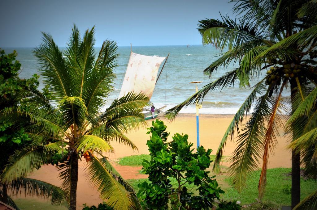 Blumarine Guest House Negombo Exterior photo